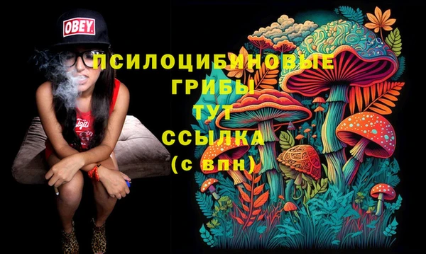 альфа пвп Баксан