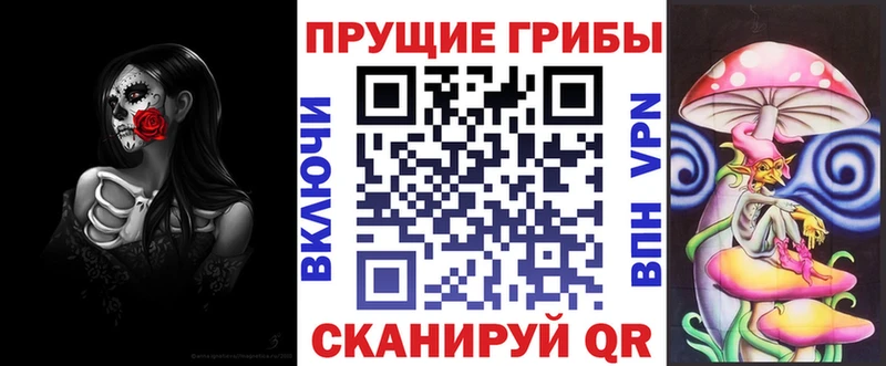 Псилоцибиновые грибы Cubensis  купить  сайты  Реутов 